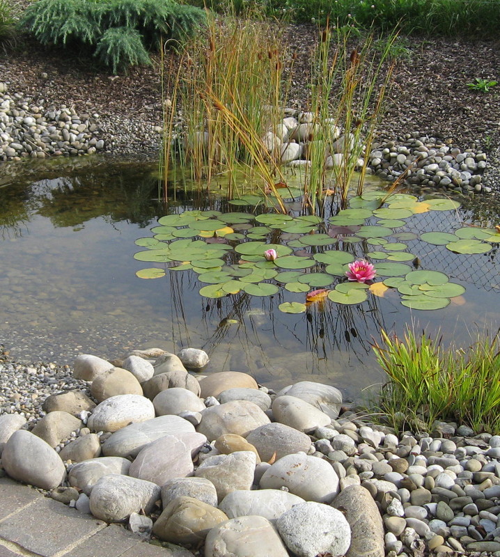 Teich mit Bollensteinen