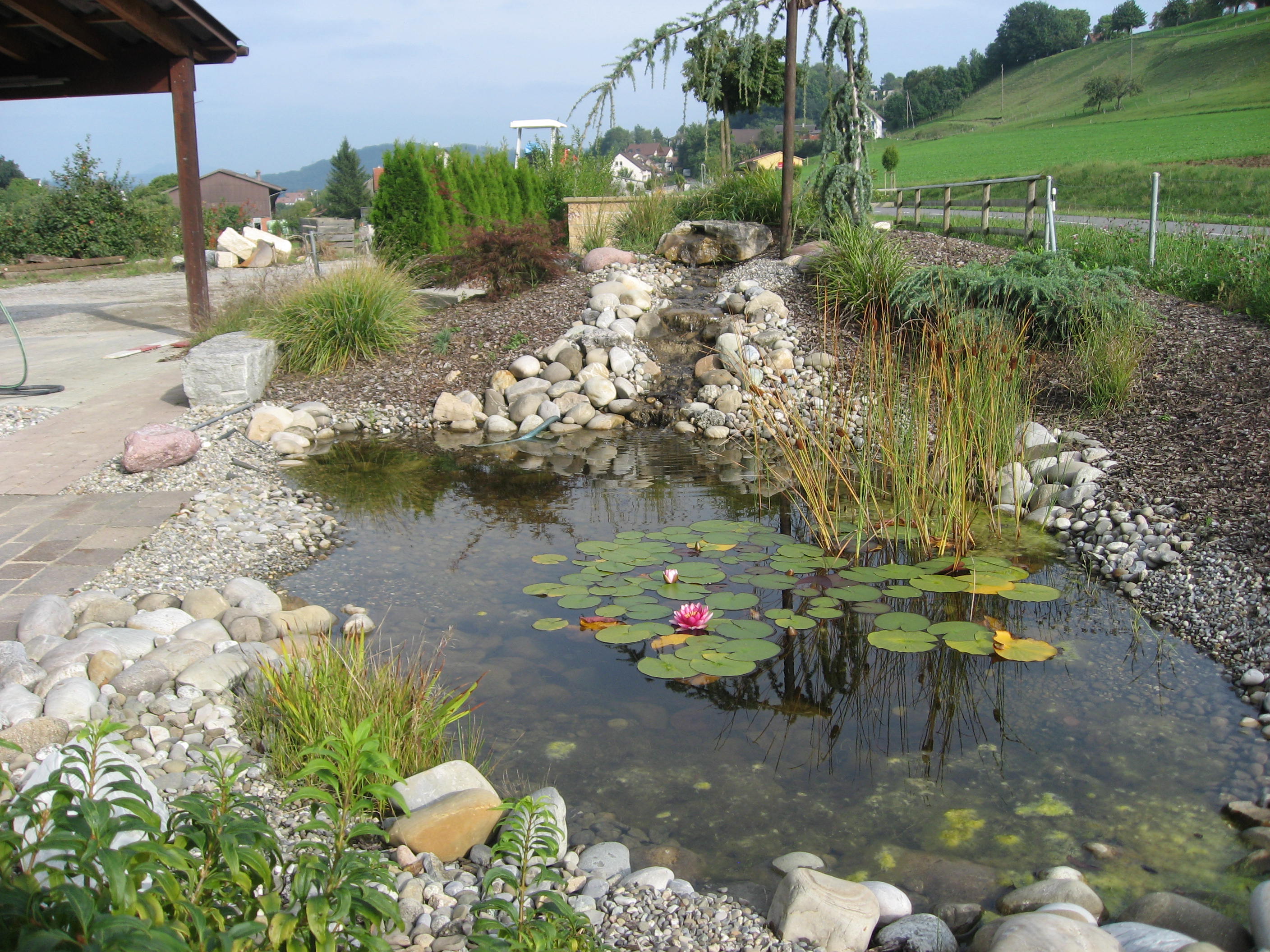 Biotop mit Bachlauf in unserem Mustergarten